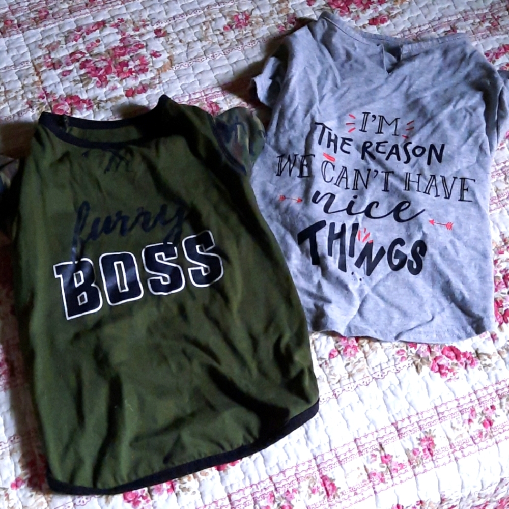 Bond & Co dog shirts